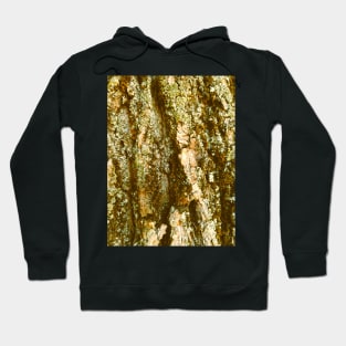 Macro Photo Of The Tree Trunk In A The Enchanted Forest Hoodie